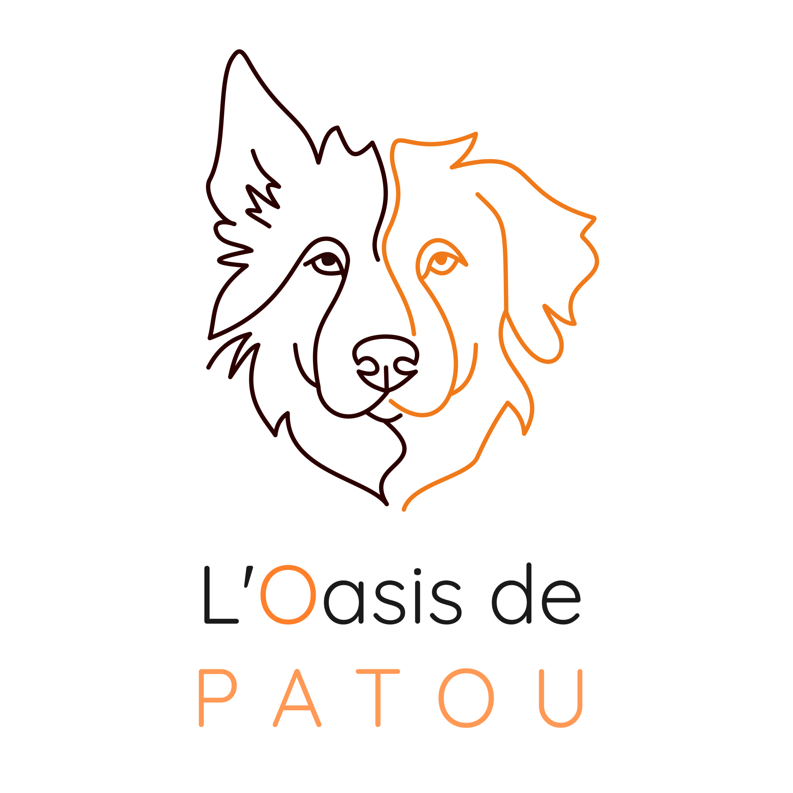 L'Oasis de Patou